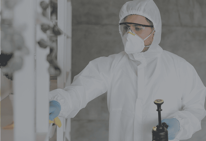 The Importance of Mould and Damp Treatment