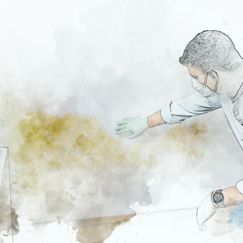 damp-treatment-scaled